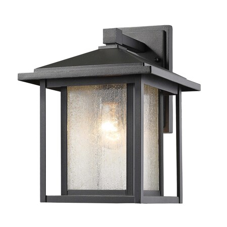 Z-Lite Aspen 1 Light Outdoor, Black And Clear Seedy 554M-BK